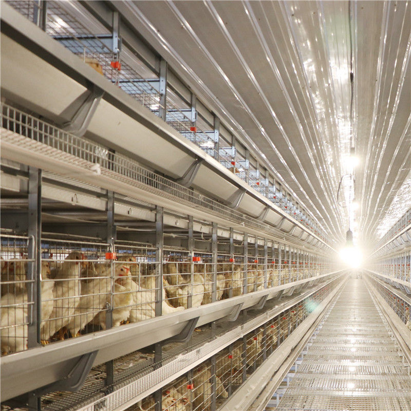 Cage galvanisée de poulet de couche d'oeufs d'aviculture pour 5000 oiseaux