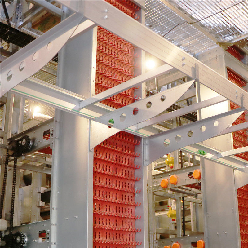 cage automatique de poulet de couche de 4 portes des rangées 8 pour le fil d'acier des couches Q235