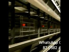 Wired H Type Layer Chicken Cage Egg Holding Automatic