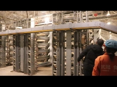 Cage à cailles pondeuse automatique