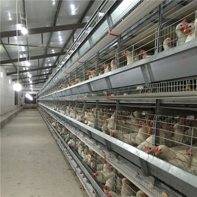 Cage animale galvanisée plongée chaude de batterie automatique de cadre de H/cage couche de poulet/cage de batterie couche de poulet à vendre