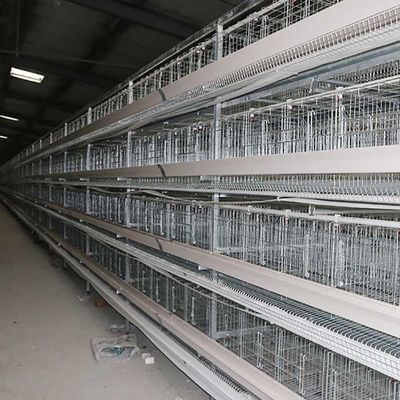 Cage élevant le système de cage de batterie d'aviculture, un type cages de couche pour le poulet